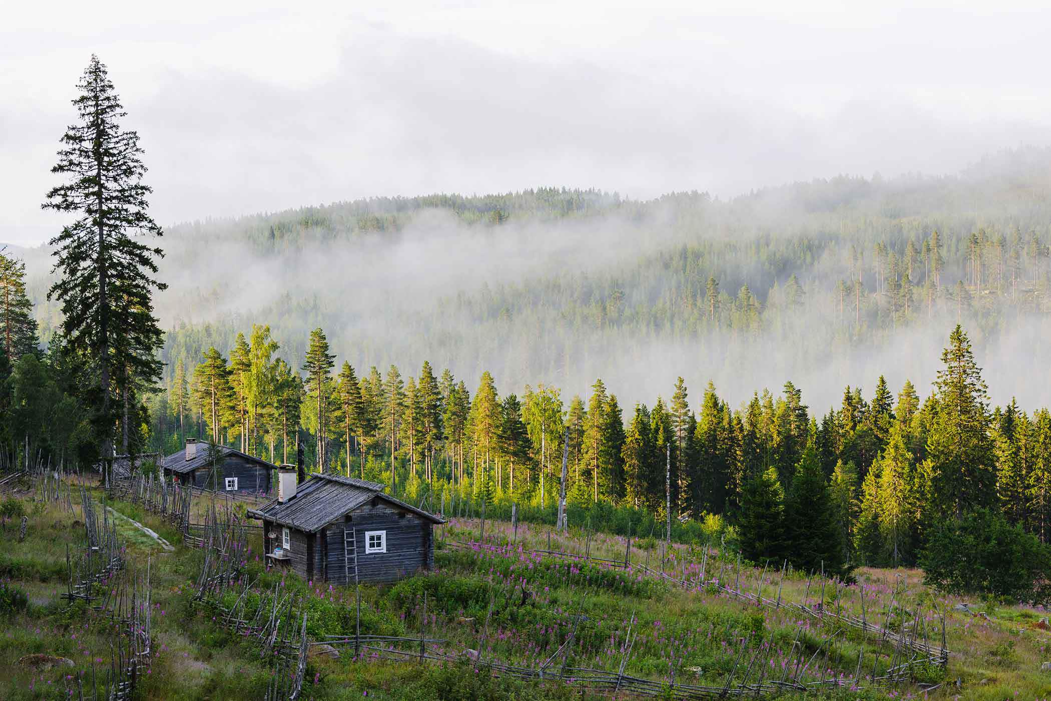 Stugor i fjällen
